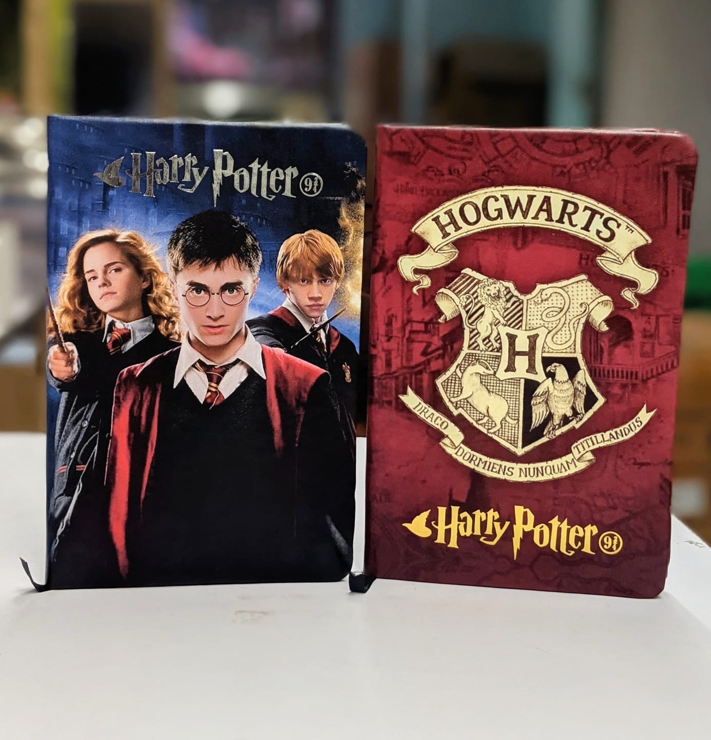 Harry Potter Diary | Cute Diary | A5 Diary