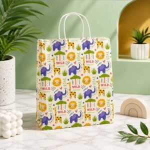 Paper Bag | Gifting Bag | Shopping Bag